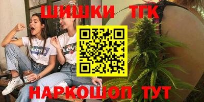шишки Кандалакша