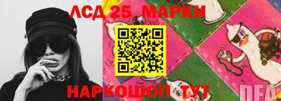 шишки Кандалакша