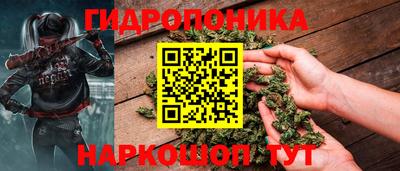 крисы Канаш