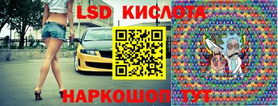 шишки Кандалакша