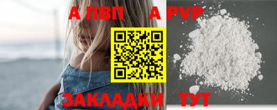 шишки Кандалакша