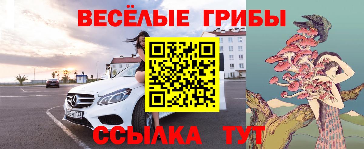 Галлюциногенные грибы мухоморы  Вход с VPN  Зима  Галлюциногенные грибы Magic Shrooms 